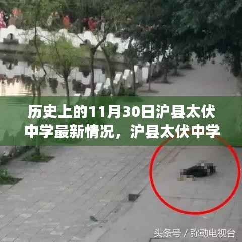 沪县太伏中学,温馨时光下的历史印记——特别纪念11月30日最新动态