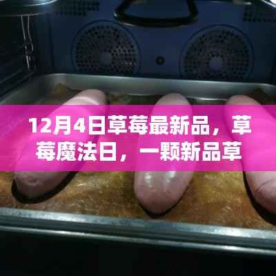 草莓魔法日,友谊与爱的甜蜜串联,新品草莓登场