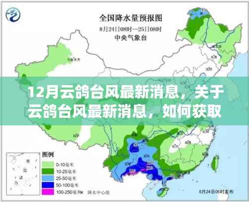 云鸽台风最新动态,获取与分析台风信息的步骤指南(适合初学者与进阶用户)