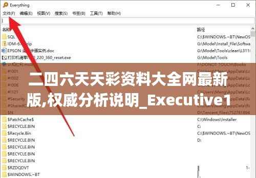二四六天天彩资料大全网最新版,权威分析说明_Executive110.854