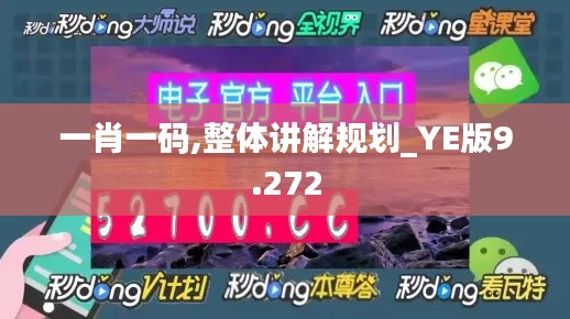 一肖一码,整体讲解规划_YE版9.272