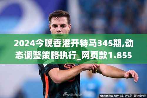 2024今晚香港开特马345期,动态调整策略执行_网页款1.855