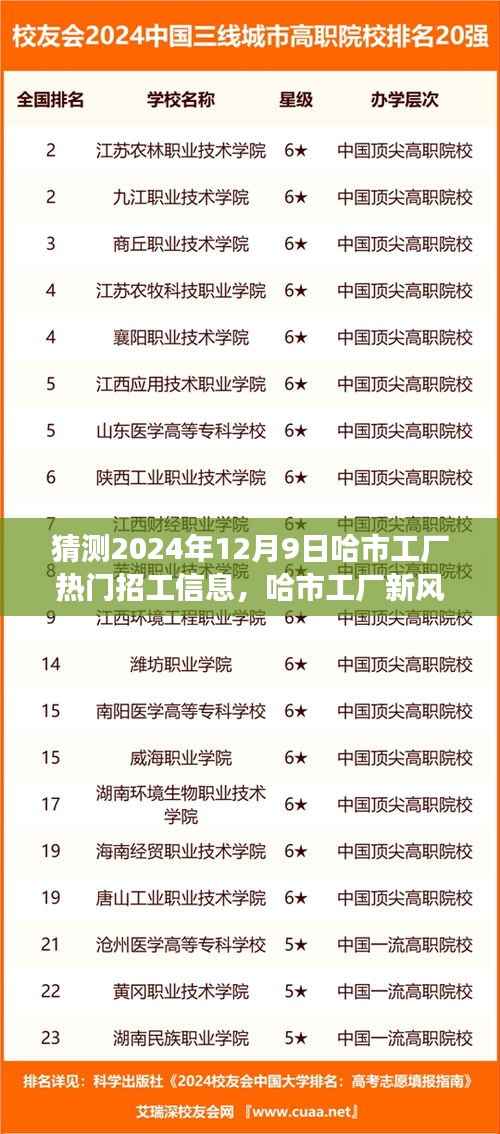 哈市工厂招工新动态与探寻自然美景之旅，2024年12月9日热门招工信息及工厂新风向展望