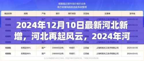 河北再起风云,揭秘2024年河北新增事件纪实