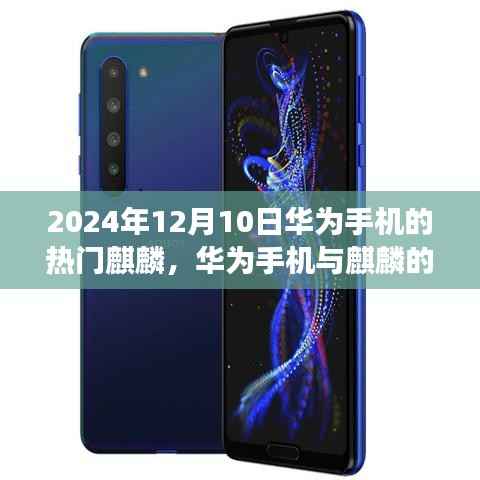 华为热门麒麟与冬日温情故事，华为手机与麒麟的奇妙日常