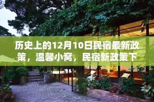 温馨小窝新篇章,民宿新政策下的奇妙际遇与历史回望(12月10日)
