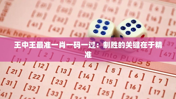 王中王最准一肖一码一过:制胜的关键在于精准