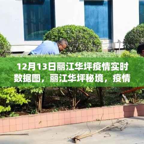 丽江华坪疫情实时数据图,疫情下的自然之旅与心灵港湾探寻