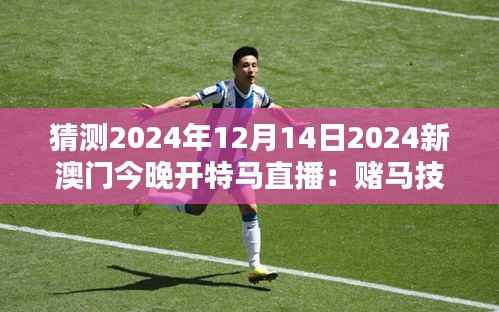 猜测2024年12月14日2024新澳门今晚开特马直播:赌马技巧与心得