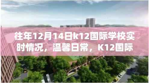 K12国际学校12月14日实时日常纪实,温馨与奇妙的时光