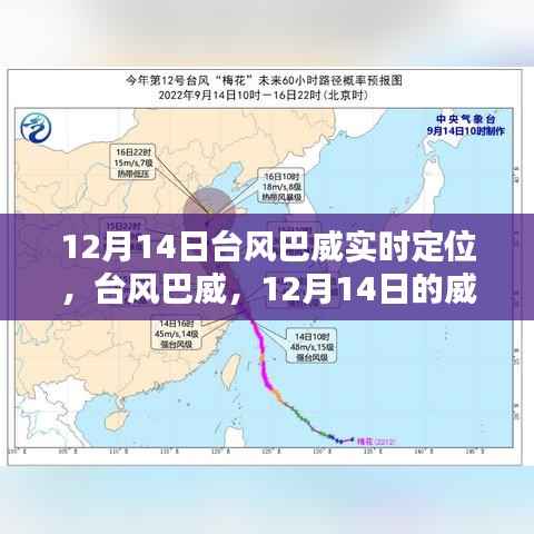 台风巴威来袭,回顾12月14日的威力与影响