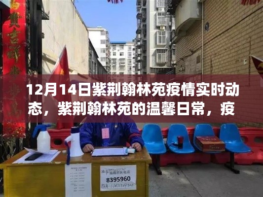 紫荆翰林苑疫情实时动态,疫情之下的温馨日常与暖心故事