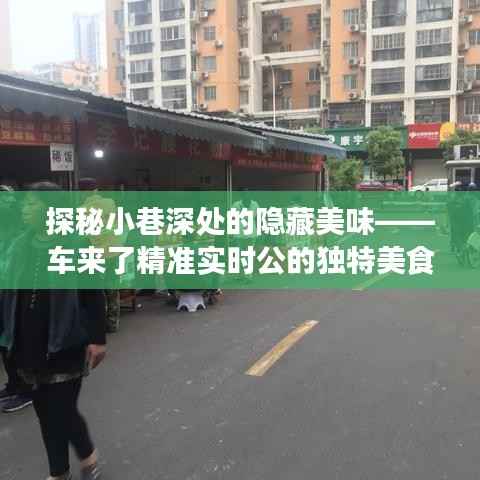 车来了实时导航,探秘小巷深处的独特美食之旅
