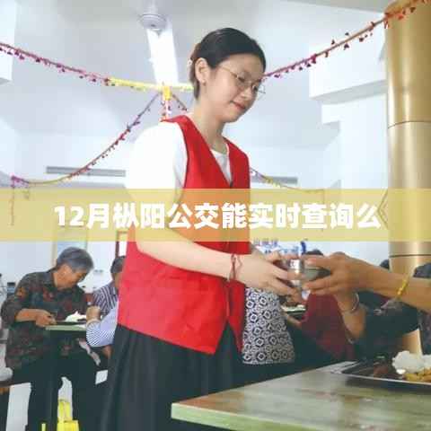 枞阳公交实时查询功能开通了吗?十二月最新动态