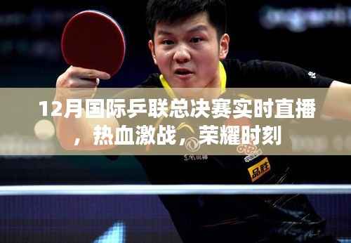 国际乒联总决赛直播,热血激战,荣耀瞬间