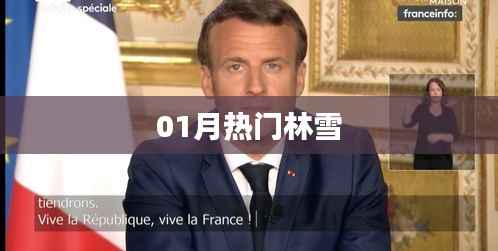 最新林雪热点话题解析