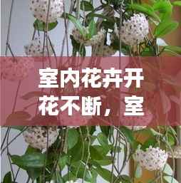 张弛不定 第2页
