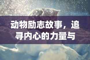 动物励志故事,追寻内心的力量与勇气,激发无限潜能!