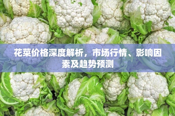 花菜价格深度解析,市场行情、影响因素及趋势预测