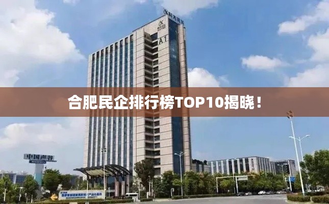 合肥民企排行榜TOP10揭晓!