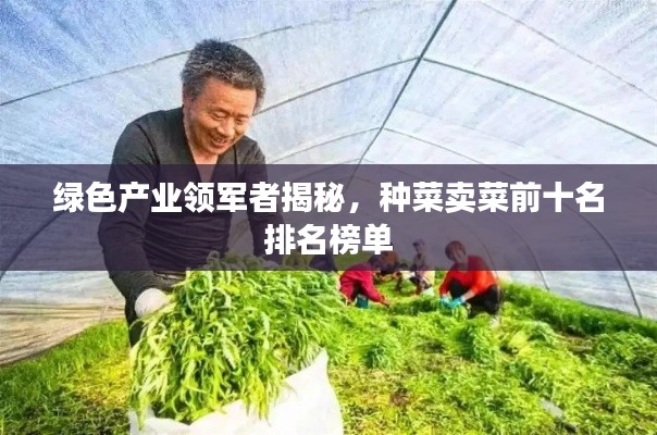 绿色产业领军者揭秘,种菜卖菜前十名排名榜单