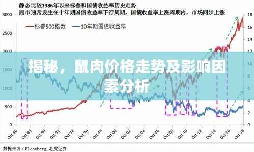 揭秘，鼠肉价格走势及影响因素分析