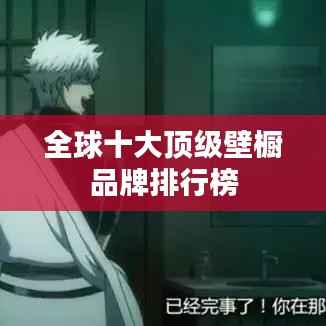 全球十大顶级壁橱品牌排行榜