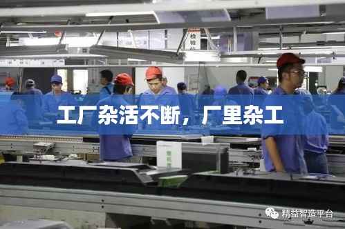 工厂杂活不断,厂里杂工
