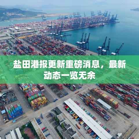 盐田港报更新重磅消息，最新动态一览无余