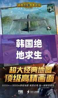 韩国绝地求生激战，荣耀战场，激情燃烧时刻！