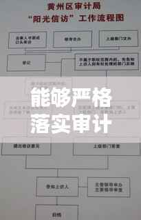 能够严格落实审计制度，严格审计程序 