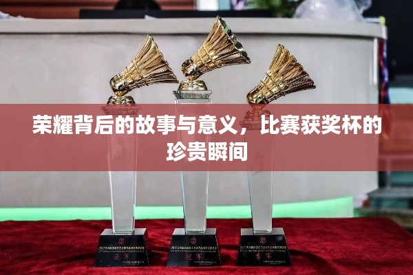 荣耀背后的故事与意义,比赛获奖杯的珍贵瞬间