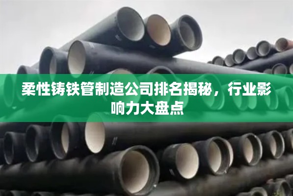 柔性铸铁管制造公司排名揭秘,行业影响力大盘点