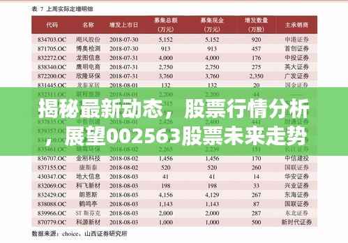 揭秘最新动态,股票行情分析,展望002563股票未来走势