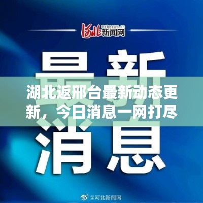 湖北返邢台最新动态更新,今日消息一网打尽!