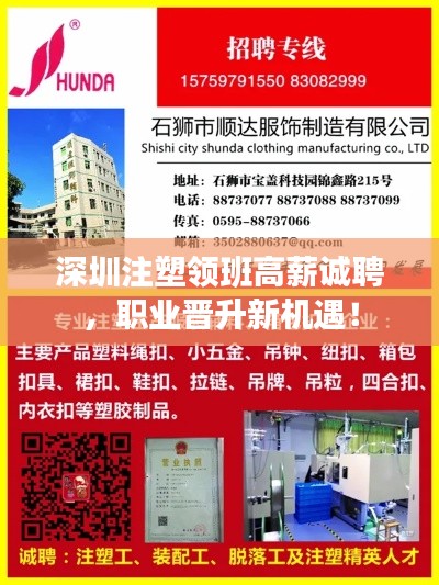 深圳注塑领班高薪诚聘,职业晋升新机遇!