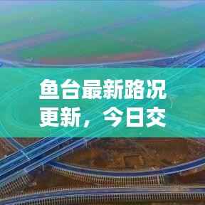 鱼台最新路况更新,今日交通状况速览