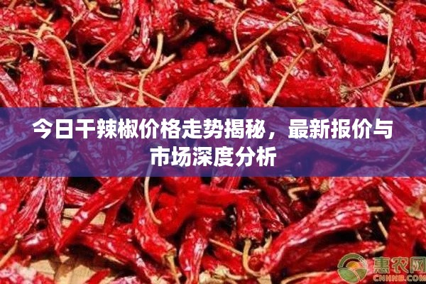 今日干辣椒价格走势揭秘,最新报价与市场深度分析