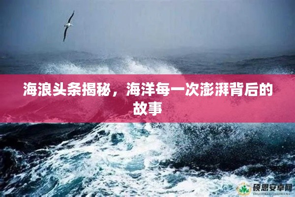 海浪头条揭秘,海洋每一次澎湃背后的故事
