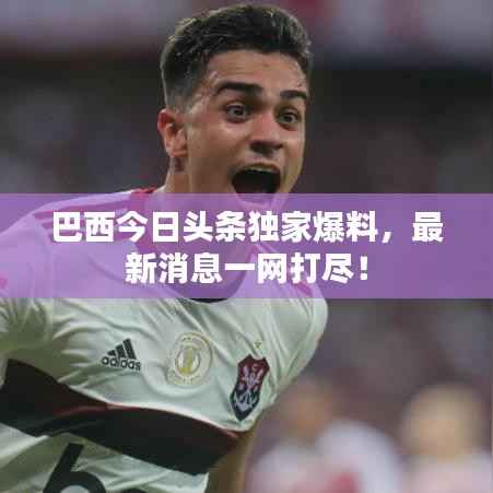 巴西今日头条独家爆料,最新消息一网打尽!