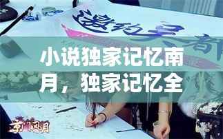 小说独家记忆南月，独家记忆全文免费 