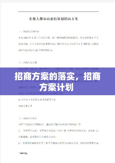 招商方案的落实,招商方案计划