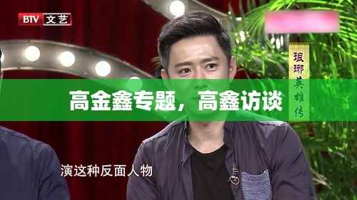 高金鑫专题,高鑫访谈