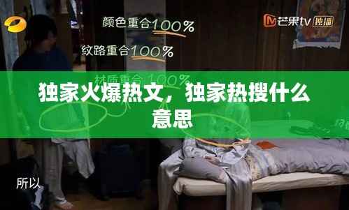 独家火爆热文,独家热搜什么意思