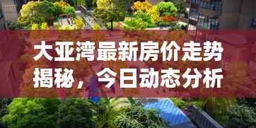 大亚湾最新房价走势揭秘,今日动态分析报告
