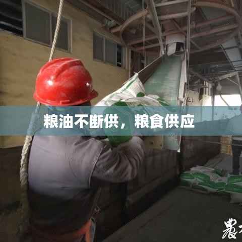 粮油不断供，粮食供应 