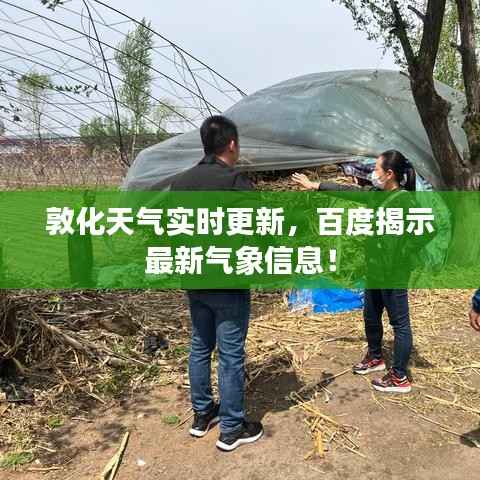 敦化天气实时更新，百度揭示最新气象信息！