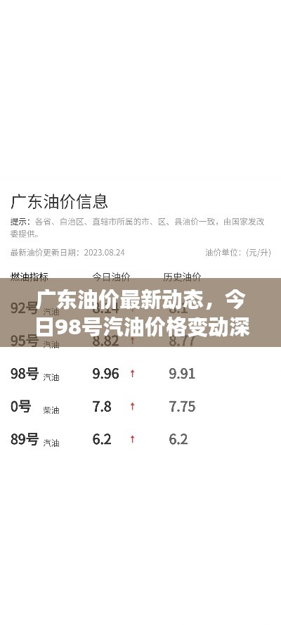 广东油价最新动态,今日98号汽油价格变动深度解析