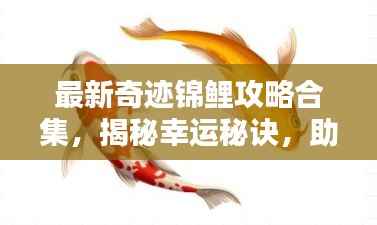 最新奇迹锦鲤攻略合集,揭秘幸运秘诀,助您成为锦鲤大师!