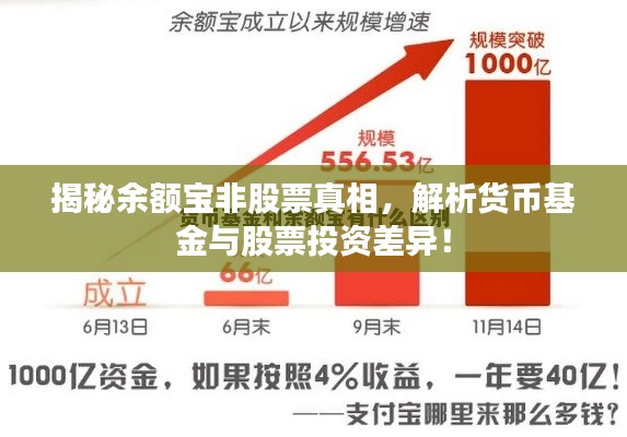 揭秘余额宝非股票真相，解析货币基金与股票投资差异！